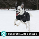 Manteau pour chien Shedrow K9 Tundra