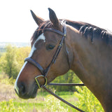 Mondega Coretto Wide Noseband Hunter Bridle