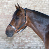 Licol Waldhausen X-Line en cuir or rose