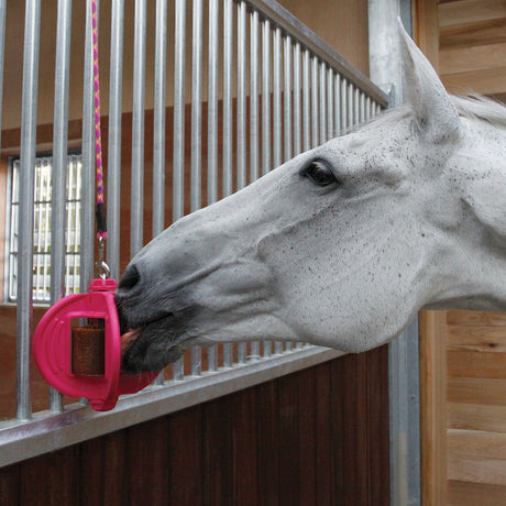 Bizzy Horse Bizzy Ball Horse Toy