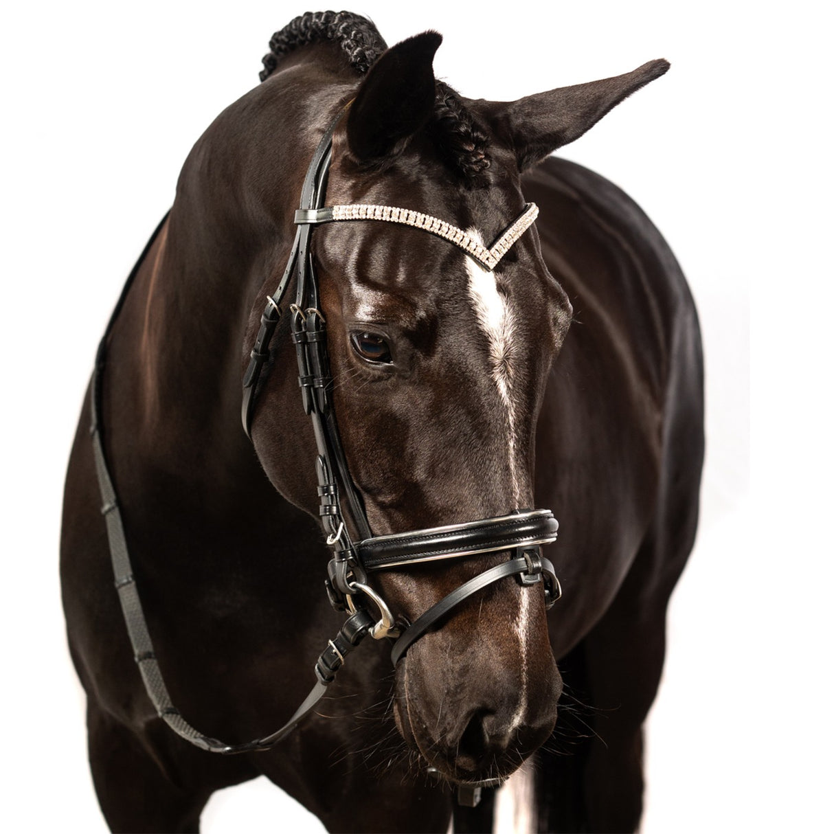 Bridon de dressage FFE Crystal V avec passepoil argenté