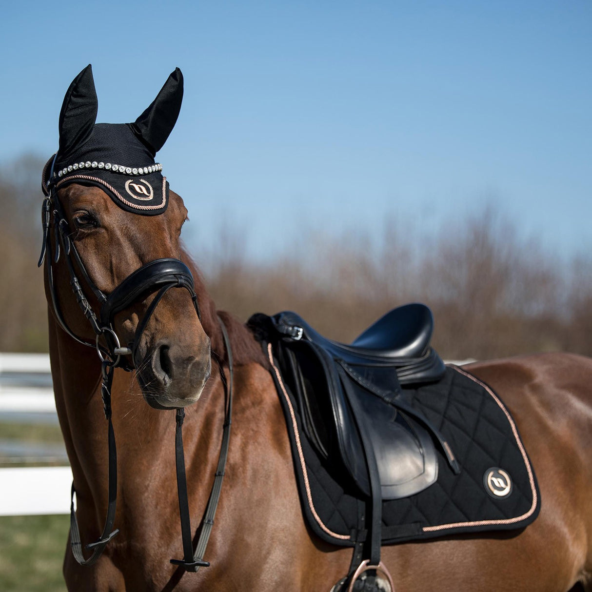 Back on Track Haze Collection Saddle Pad - Dressage