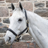 Val du Bois Padded Leather Halter