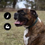 Shedrow K9 Rideau Corde tressée et collier en cuir