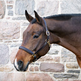 Val du Bois Padded Leather Halter