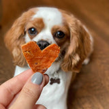 Healthybud Sweet Potato Dog Treat 4.6 Oz