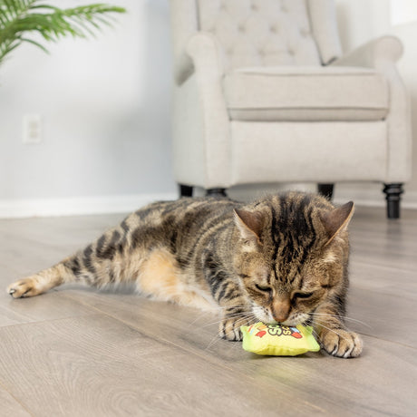 Kittybelles Sour Scratch Cat Toy