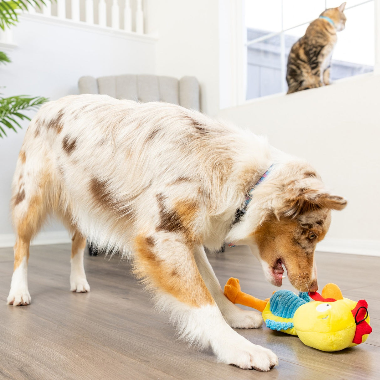 Jouet pour chien Kernal Pecker en peluche Lulubelles Power