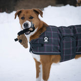 Jouet pour chien en corde d'oie Shedrow K9