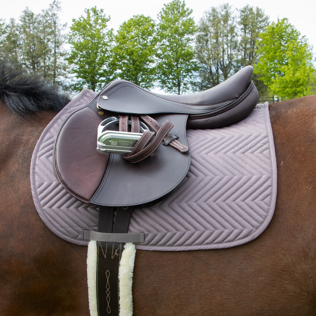 Tapis de selle Supra Every Day Essential