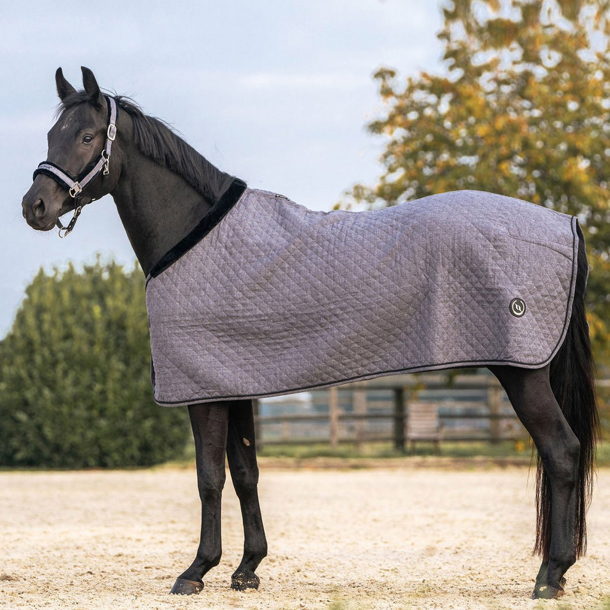 Tapis d'exposition Back on Track Haze Collection