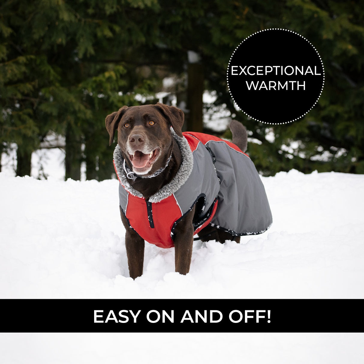 Shedrow K9 Chinook Dog Coat