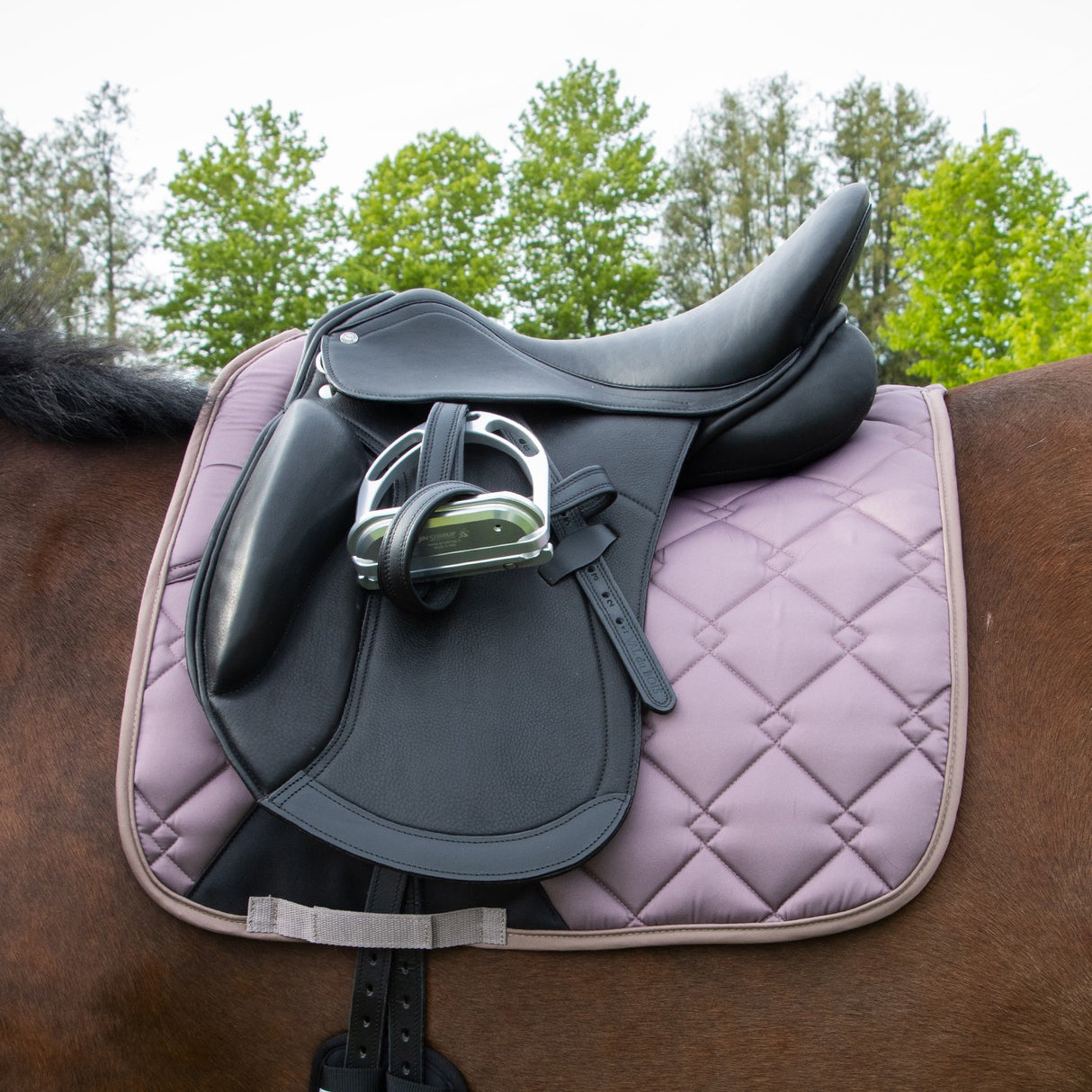 Shedrow Laurent Saddle Pad - Dressage
