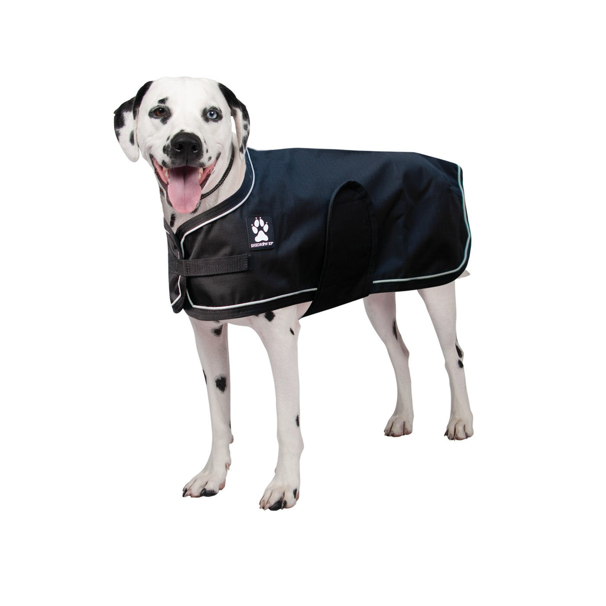Manteau de pluie Shedrow K9 Harbour