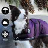 Manteau pour chien Shedrow K9 Tundra