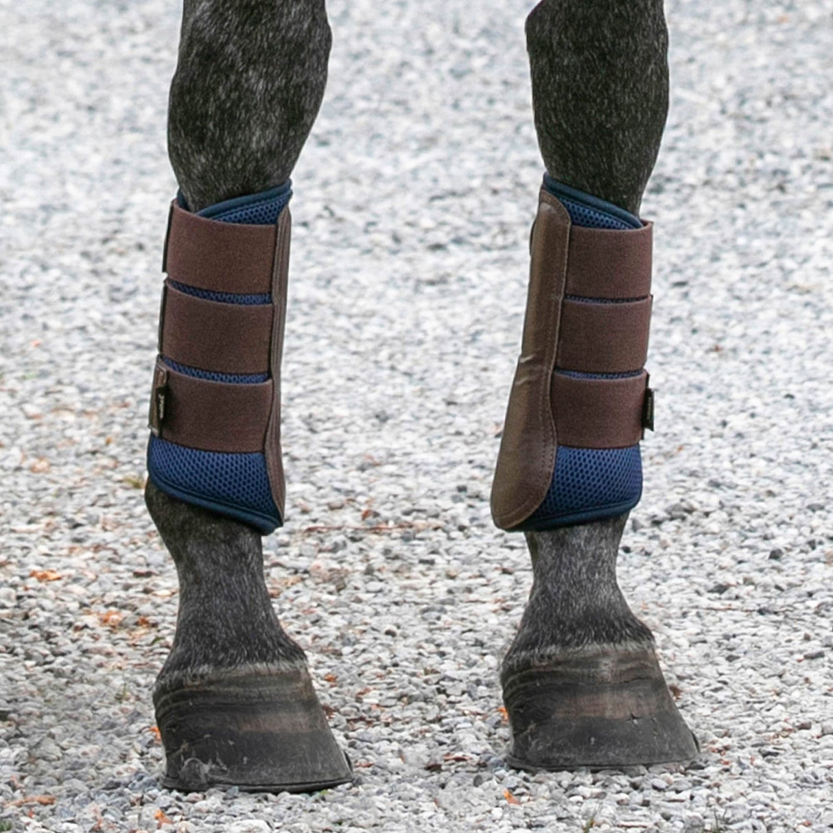 Bottes à brosse Back on Track Airflow