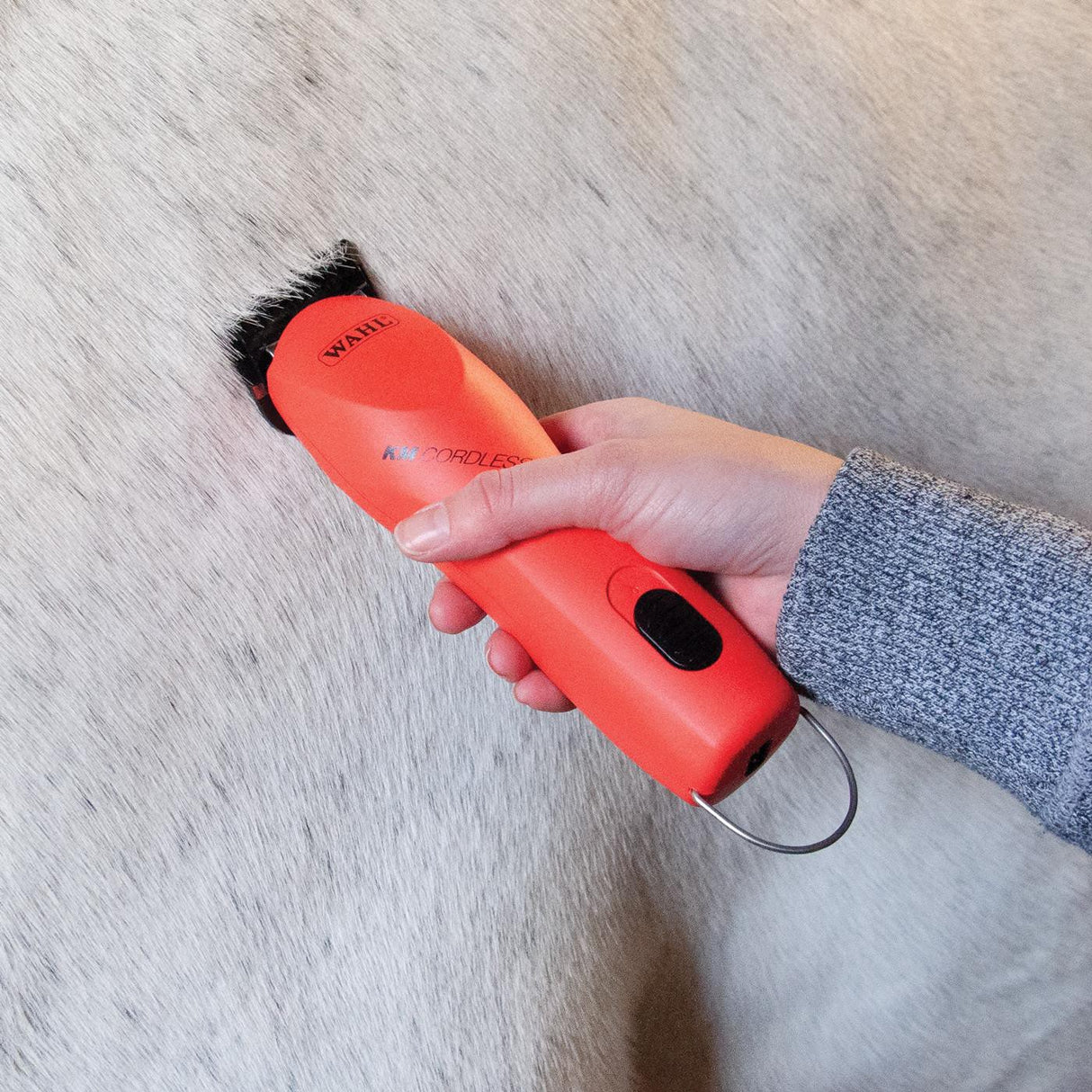 Tondeuse sans fil Wahl KM