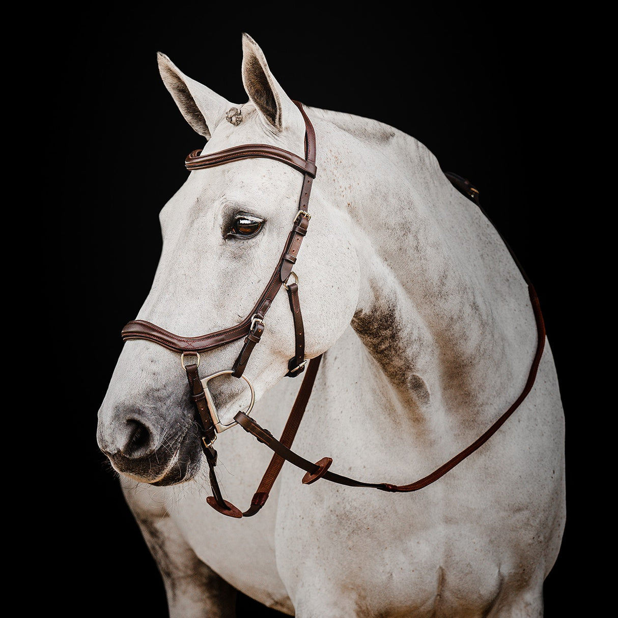 Rambo Micklem Deluxe Competition Bridle W- Reins