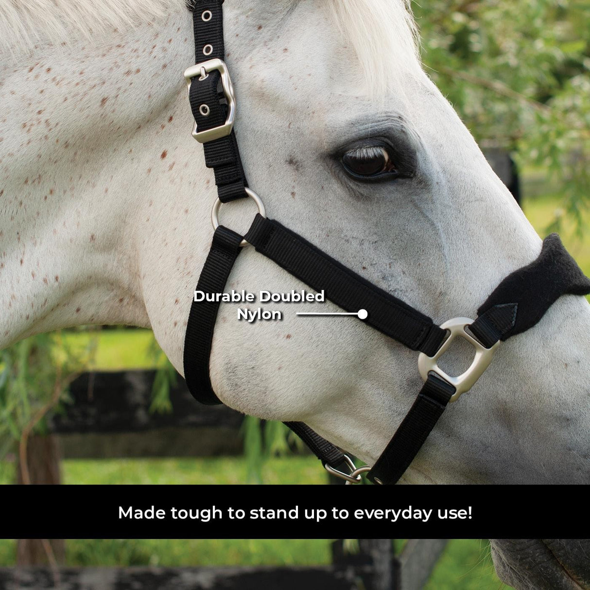 Shedrow Breakaway Halter W - Polaire