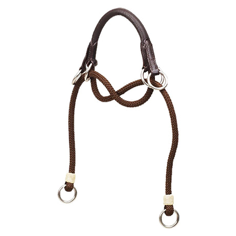 Bitless Noseband
