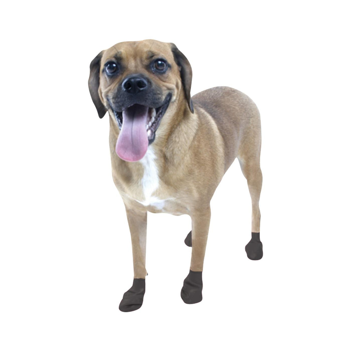 Pawz Dog Boots
