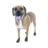 Pawz Dog Boots