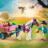 Playmobil Riding Classes Pony Wagon
