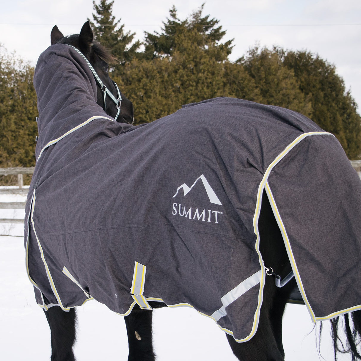 Summit North Combo Turnout 100 g W- Liner 200 gm