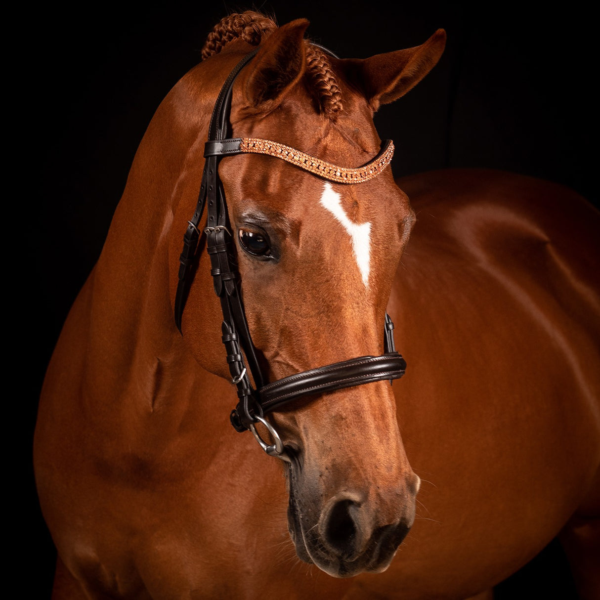 Bride de dressage FFE Princess Wave en or rose