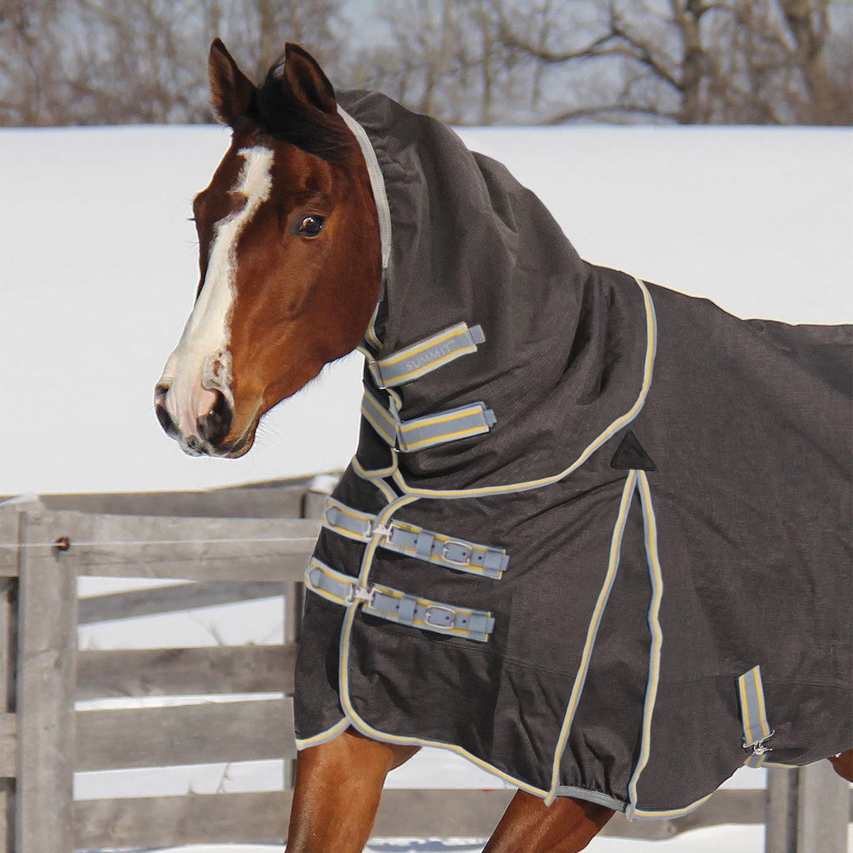 Summit North Combo Turnout 100 g W- Liner 200 gm