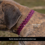 Shedrow K9 Rideau Braided Rope & Leather Collar