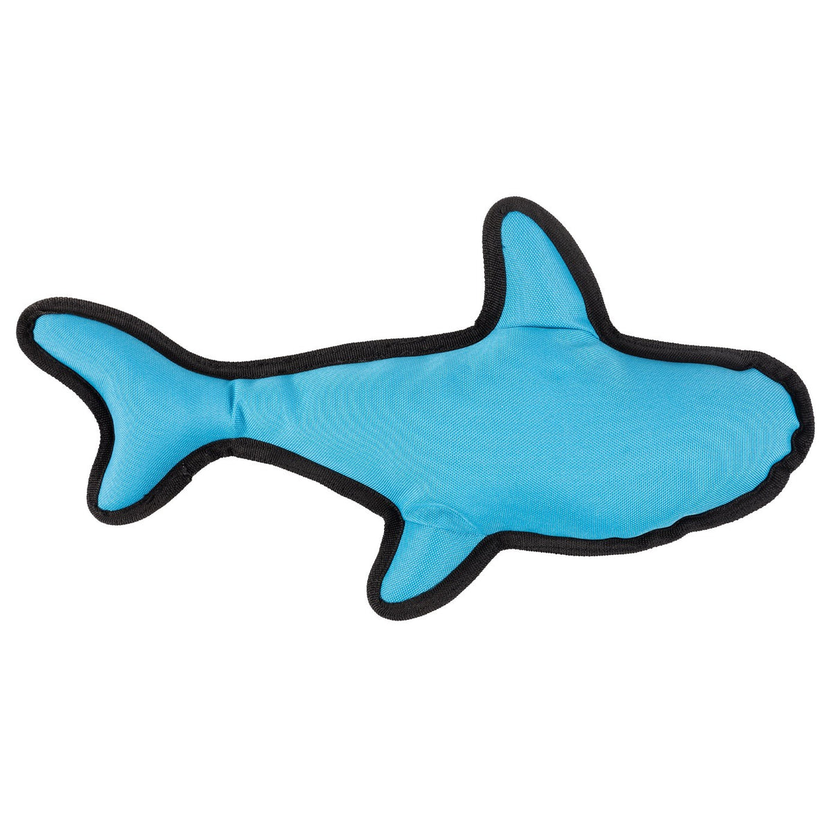 Requin rugueux et dur de Beco