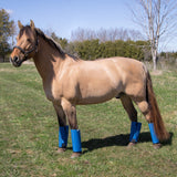 Shoofly Leggins Horse Boots