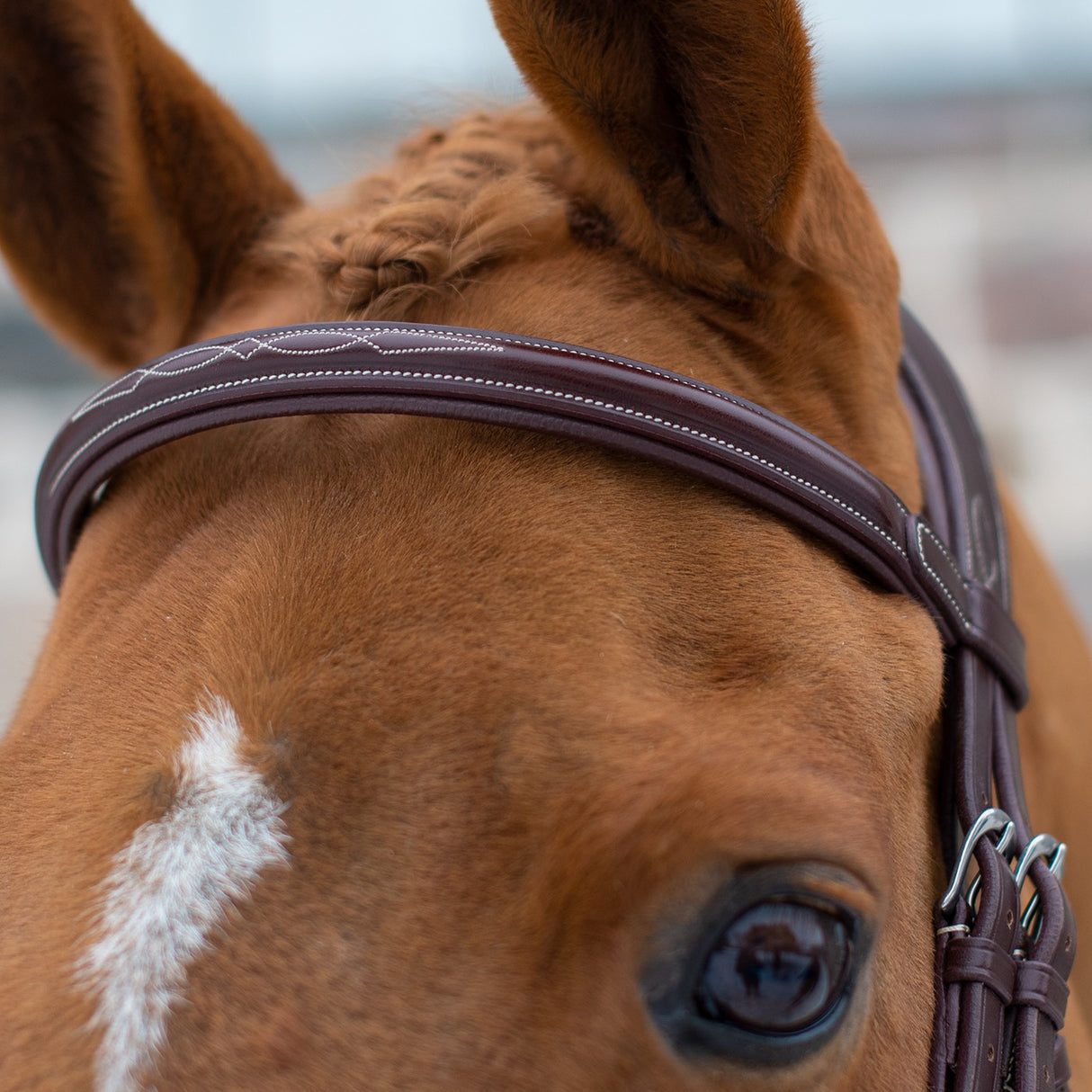 Mondega Doppio Comfort Poll Fancy Stitched Bridle