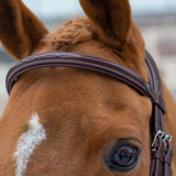 Mondega Doppio Comfort Poll Fancy Stitched Bridle