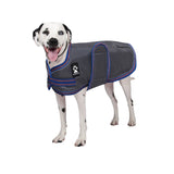 Manteau pour chien Shedrow K9 Tundra