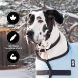 Shedrow K9 Richmond II Top Stitch Leather Collar