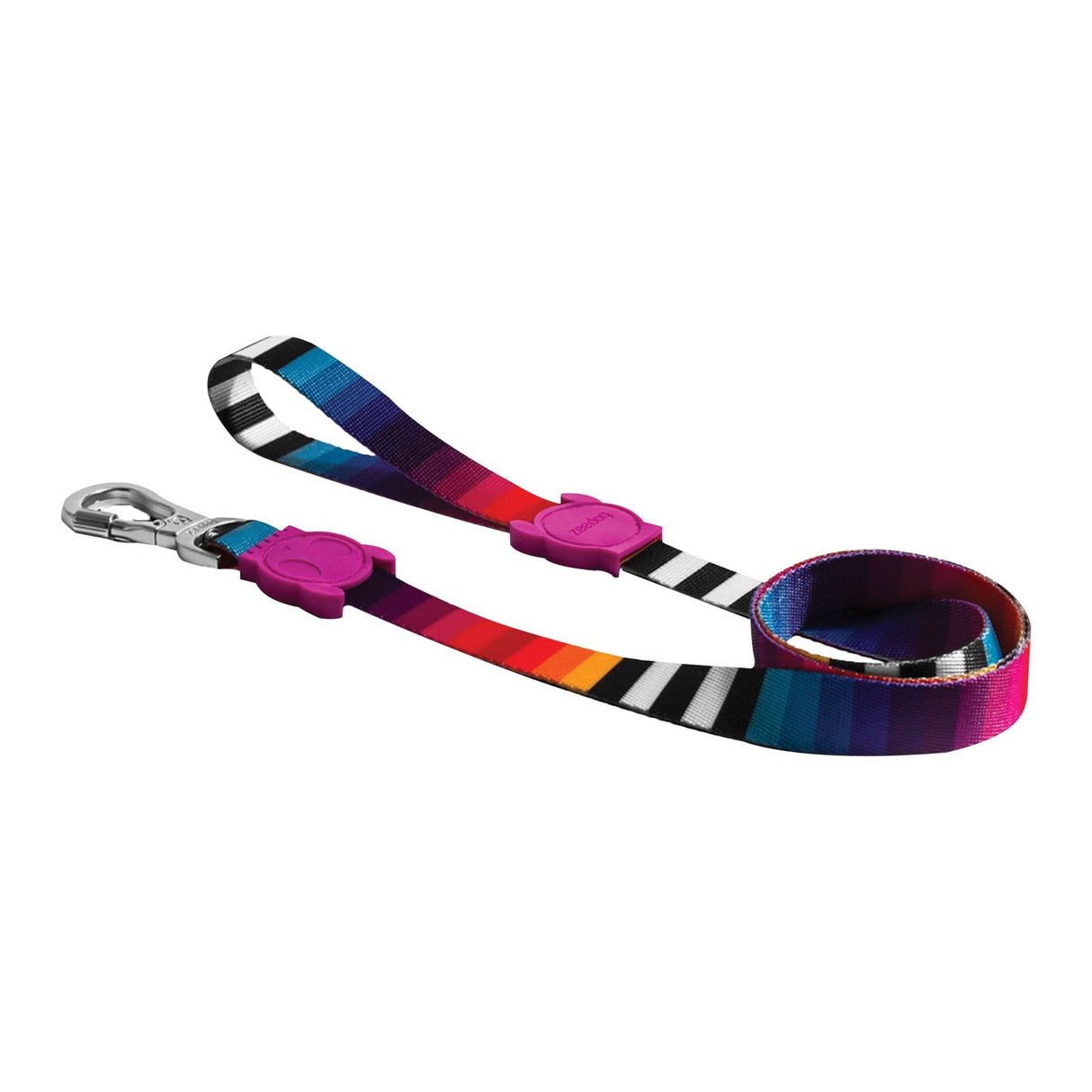 Laisse pour chien Zee 4 pi.