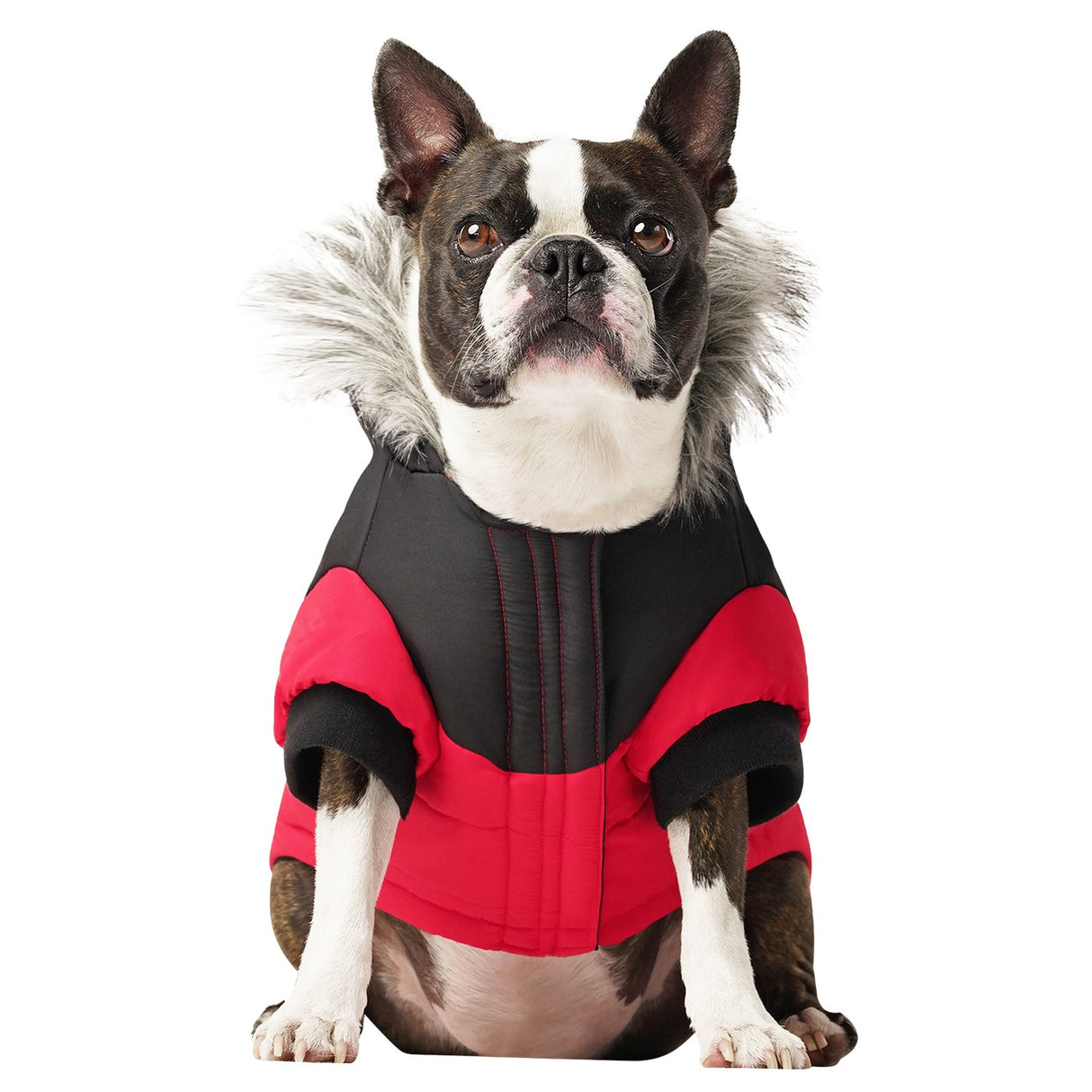 Parka pour chien True North de Canada Pooch