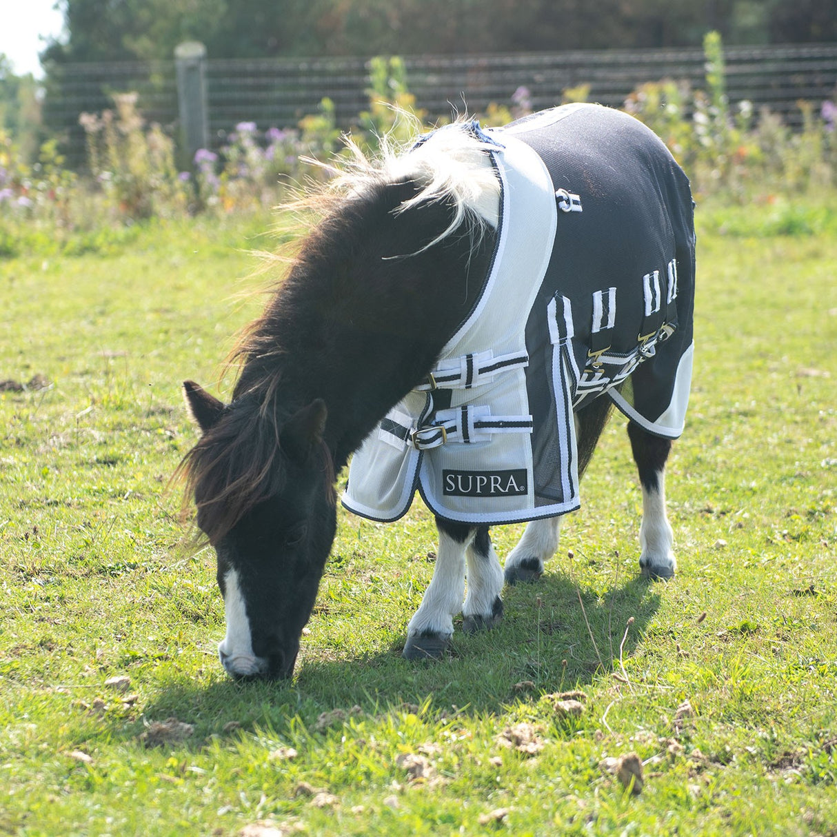 Supra Miniature Fly Sheet W- Belly Band & Fly Mask