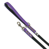 Buddy Belt Accent Leather & Nylon Leash 1-2 In. x 4 Ft.