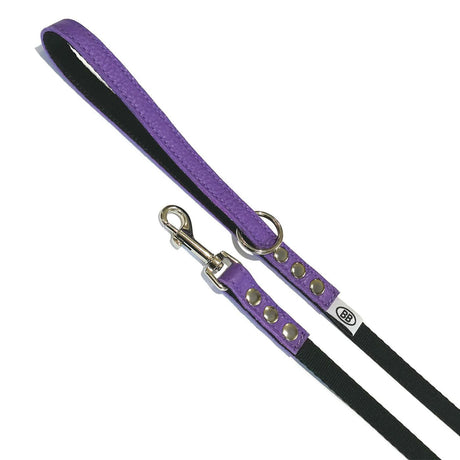 Buddy Belt Accent Laisse en cuir et nylon 1-2 po. x 4 pieds.