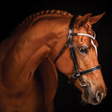 Bridon de dressage FFE Crystal V avec passepoil argenté