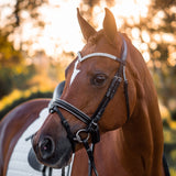 Bridon de dressage FFE Crystal V avec passepoil argenté