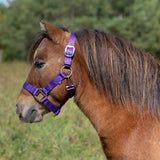 Supra Mini Halter W- Breakaway