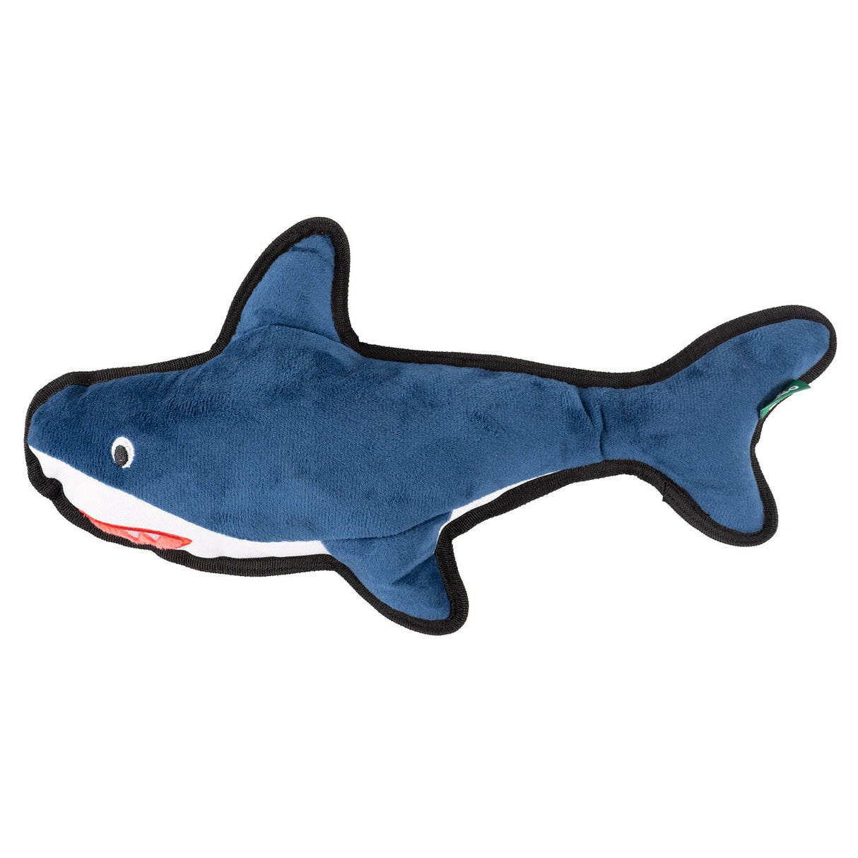 Requin rugueux et dur de Beco