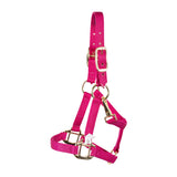 Shedrow Mini Nylon Halter