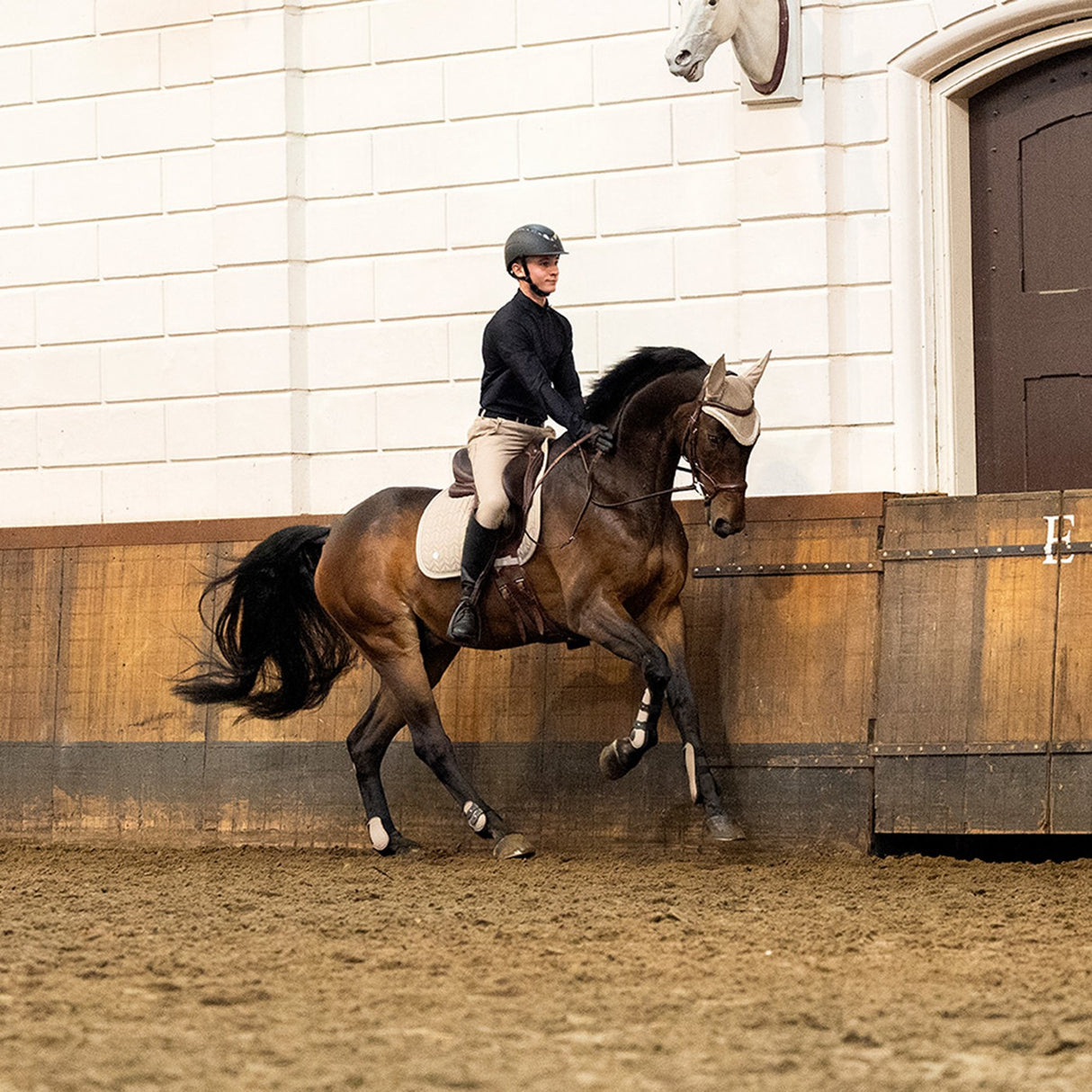 Tapis de selle BR Djill - Dressage