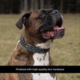 Shedrow K9 Rideau Corde tressée et collier en cuir
