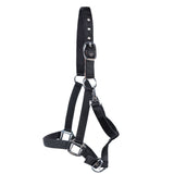 Supra Neoprene Padded W- Breakaway Halter